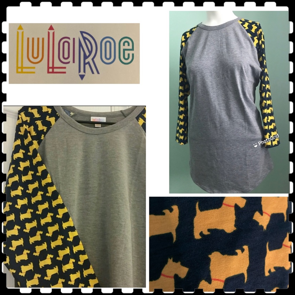 🧜🏼‍♀️2X EUC Blue gray stretch Randy Scottie Dogs LuLaRoe